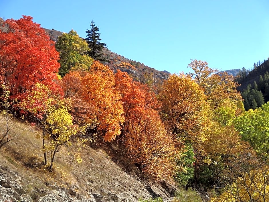 Maison d'hôtes l'Arnica