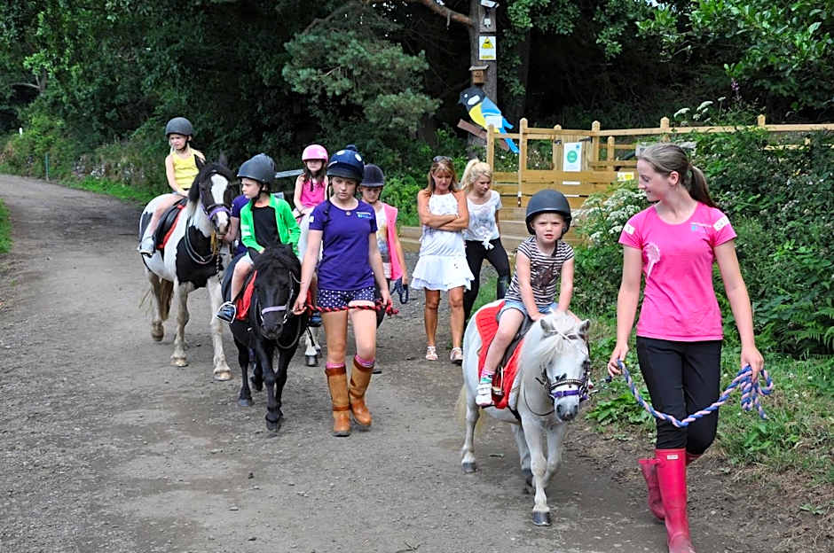 Wellsfield Farm Holiday Lodges