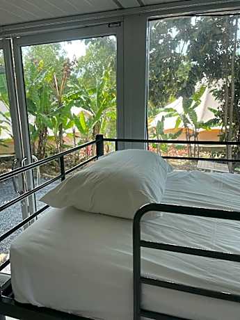 1 Person in 8-Bed Dormitory - Mixed