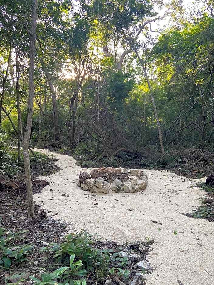 Santuario Jungle