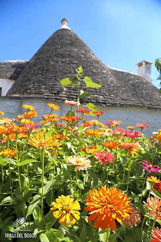 Trulli Del Bosco