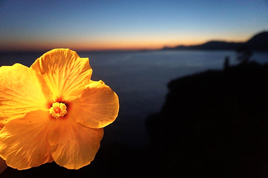 Hotel Villa Bellavista