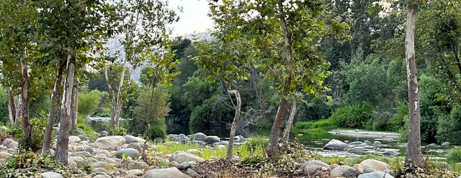 Sequoia River Front Cabins