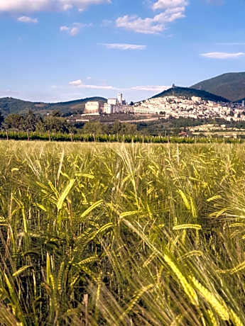 B&B Domus Benedicta