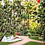 The Beverly Hills Hotel