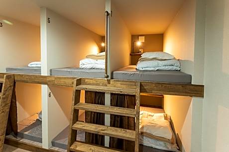 10-Bed Mixed Dormitory Room