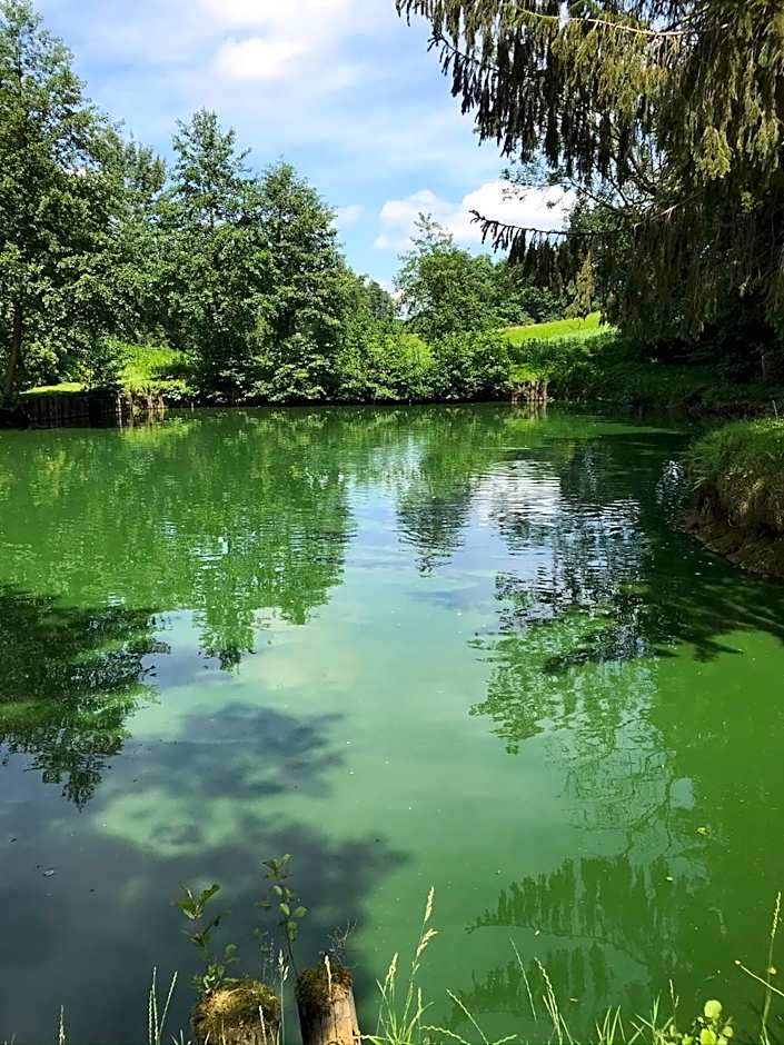 Hotel Restaurant Hesch