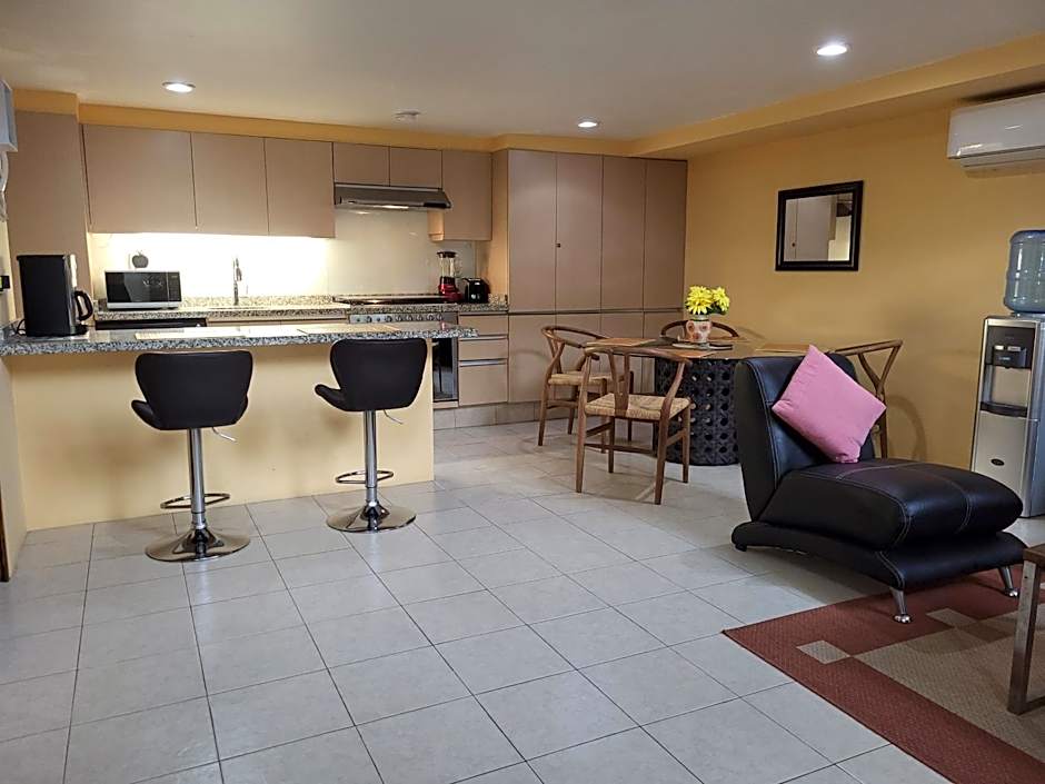Gorgeous Open Concept Apartment