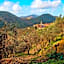 Oasi Verde