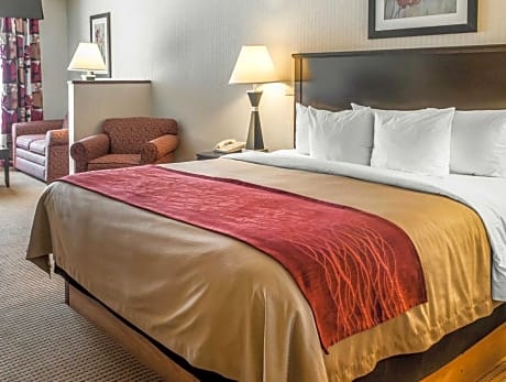 1 Bedroom Suite