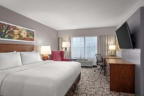 King Suite