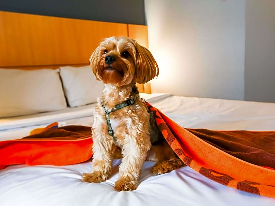 ibis Rio de Janeiro Nova America