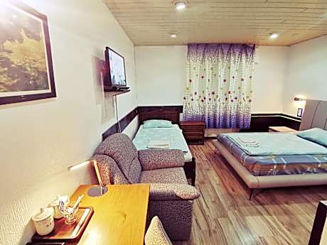 Double room-Business-Ensuite with Shower-City View