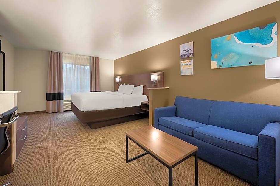 Comfort Inn & Suites In Fenton