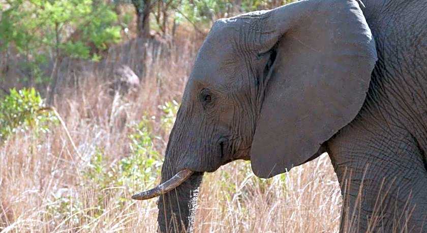 Morokolo Safari Lodge