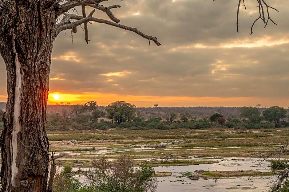 Foxy Crocodile Bush Lodge & Kruger Safaris