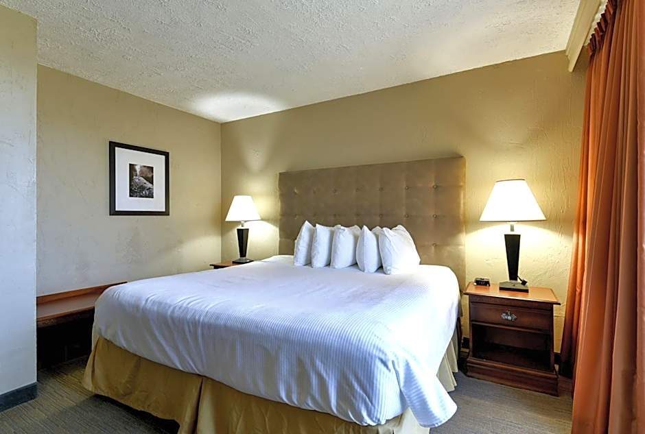 Best Western Branson Inn And Conference Center