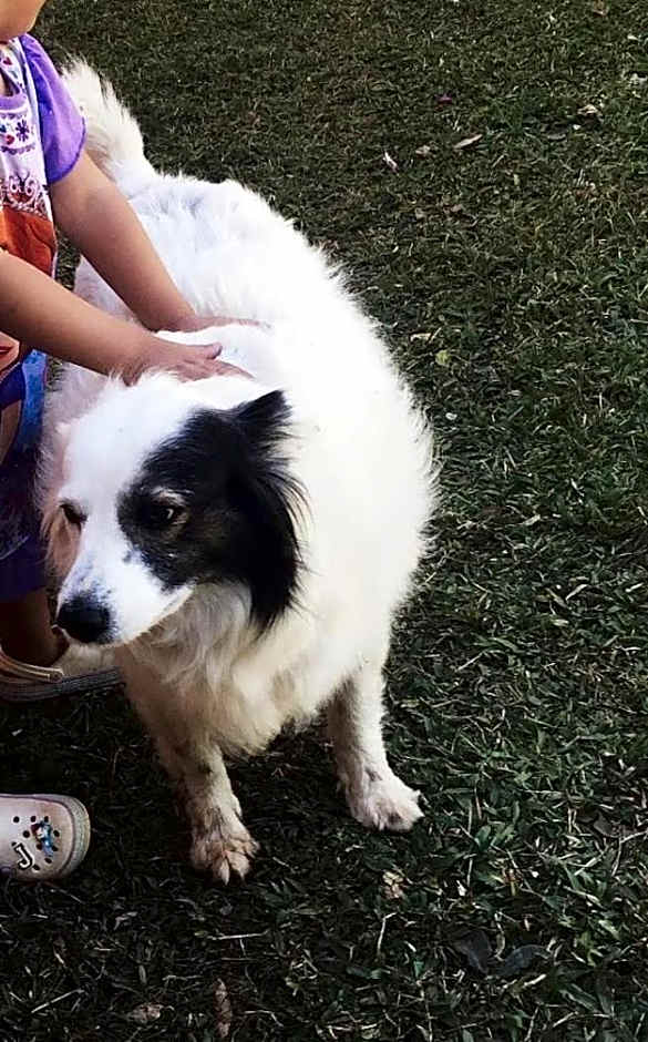 Rancho Maria Pimenta