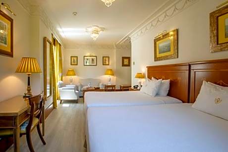 Deluxe Double or Twin Room with City View