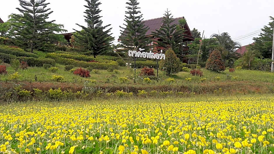 Khao Kho Flora