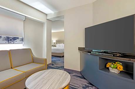 Suite-1 King Bed Non-Smoking Sofa Microwave And Refrigerator Full Breakfast