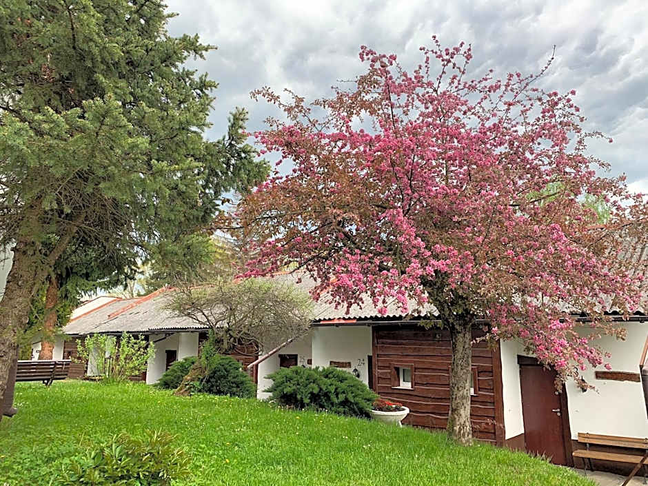 Centrum Wypoczynku ODYS