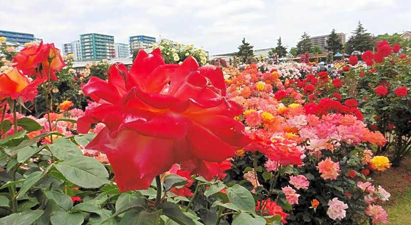 Toyoko Inn Chiba Shin-Kamagaya Ekimae