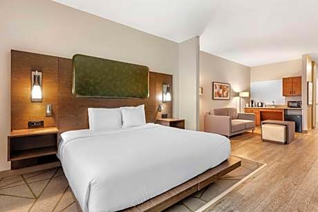 King Room with Mobility Accessible Roll-In Shower