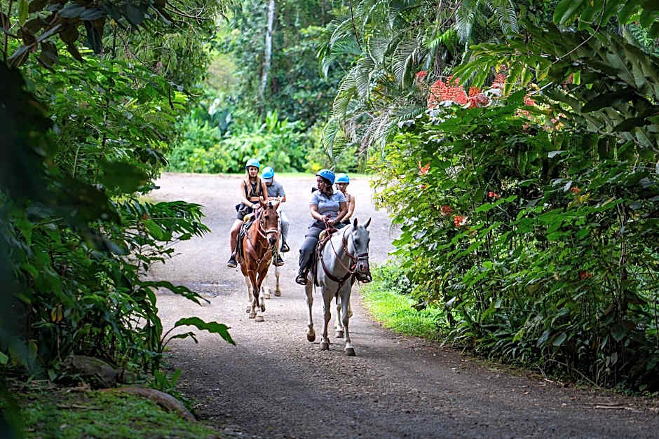 Chachagua Rainforest Hotel & Hot Springs