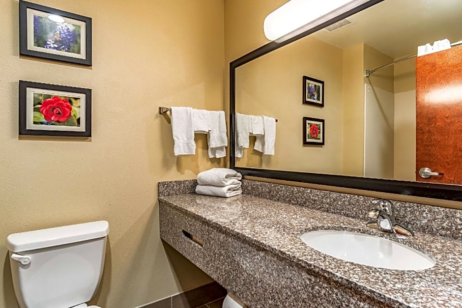 Comfort Inn & Suites Tuscumbia - Muscle Shoals
