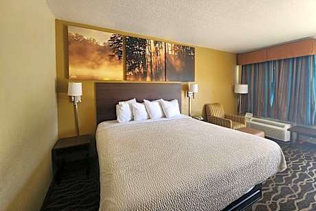 1 King Bed, Studio Suite, Smoking