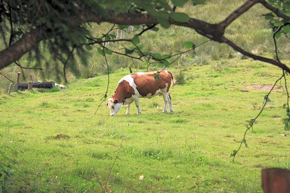 Notre Dame des Monts