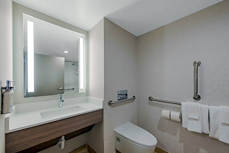 1 King Suite Mobil Access Tub