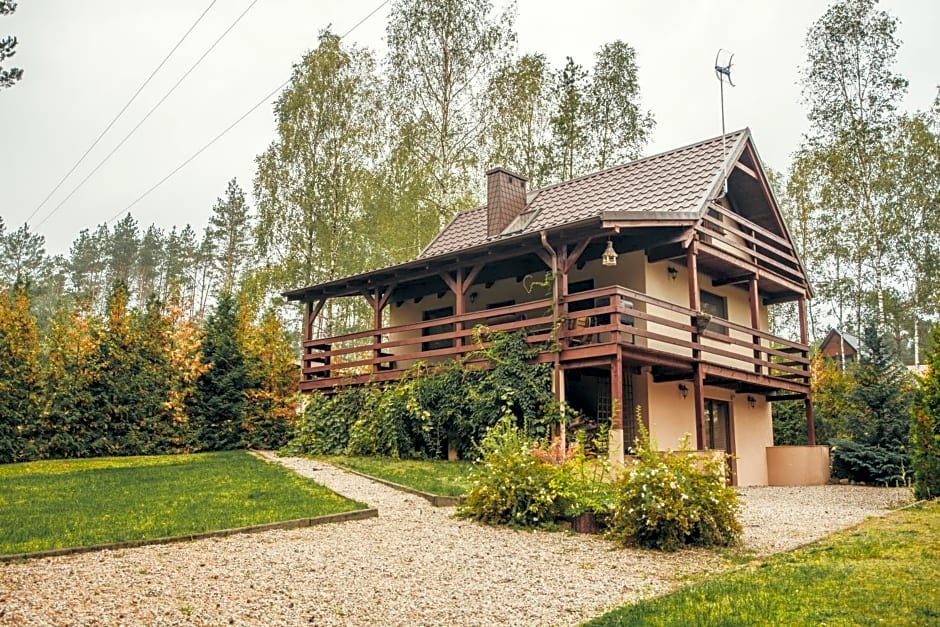 Domek Aleksander z basenem, banią ruską i sauną