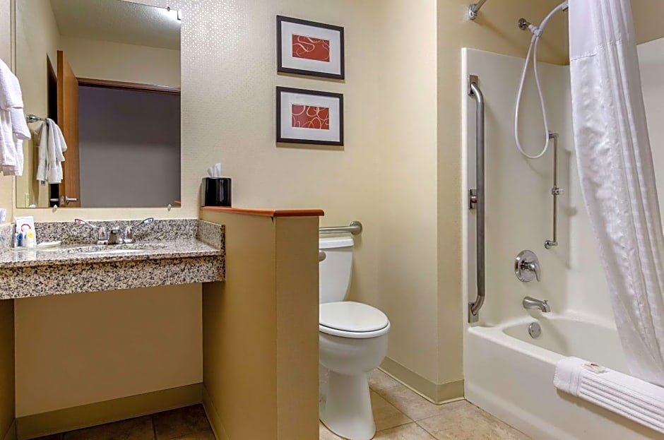 Comfort Inn Bozeman near University