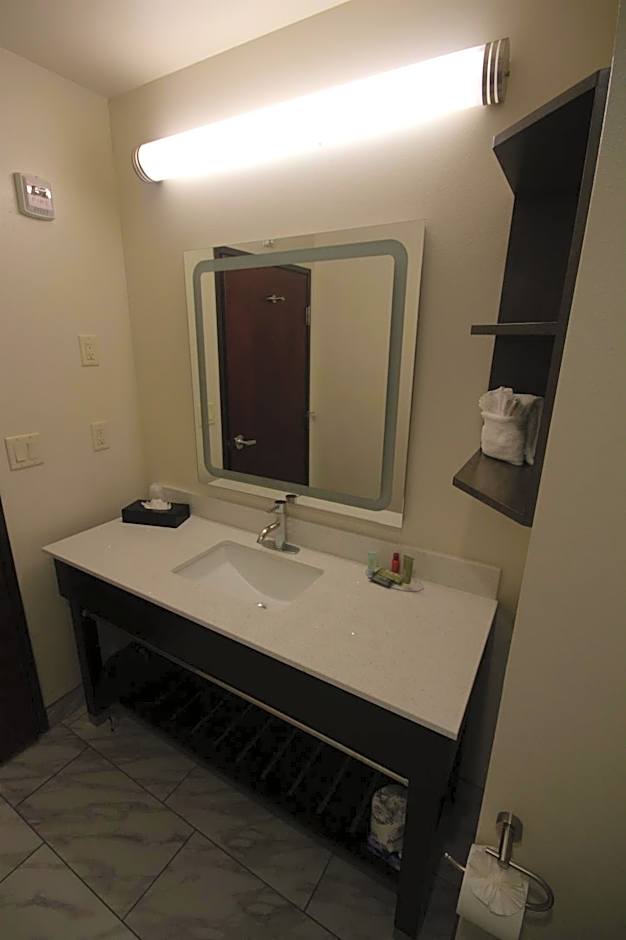 Atrium Hotel And Suites Dfw Airport