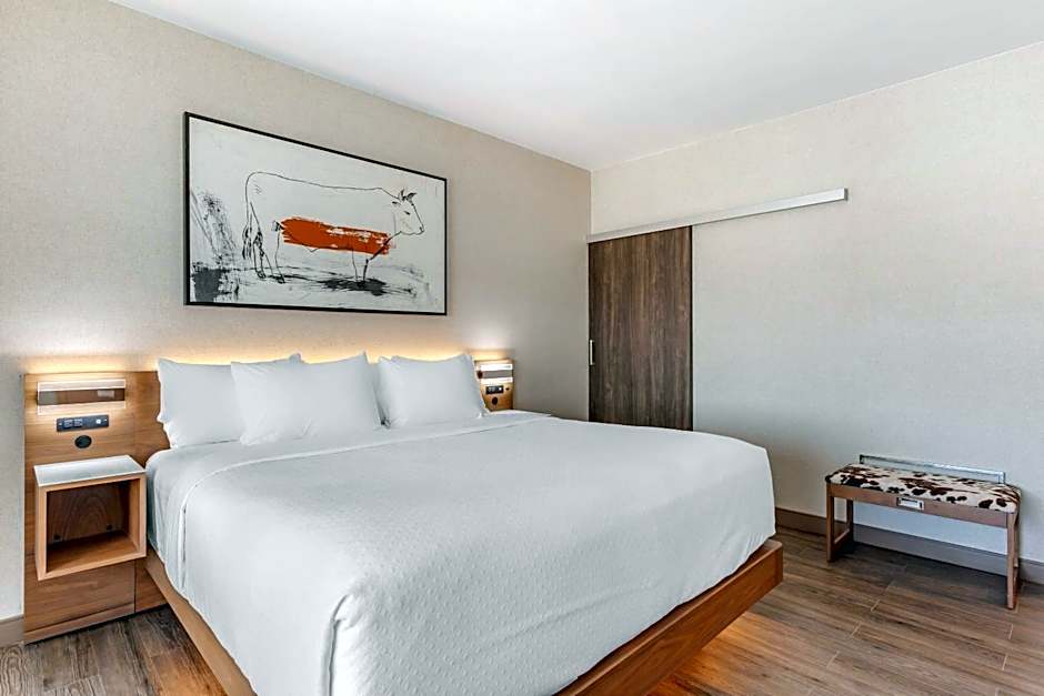 Cambria Hotel Richardson - Dallas