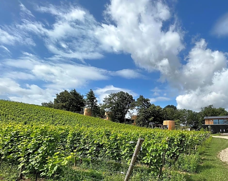 Cabanes avec jacuzzi les pieds dans la vignes