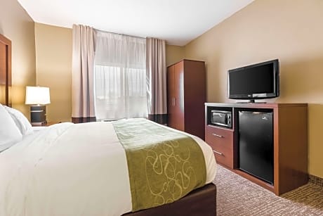 1 King Bed, Suite, Sofa Bed, Nonsmoking