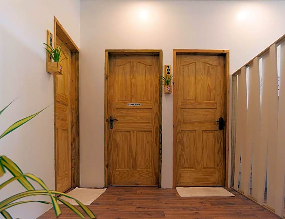 Turtle Maldives - Your Gateway to the Beach & Marine Adventures Await!