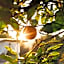 Quinta da Luz - A Luxury Boutique B&B