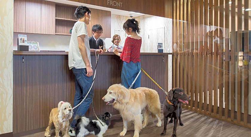 Izu-Kogen Wan Wan Paradise Condominium