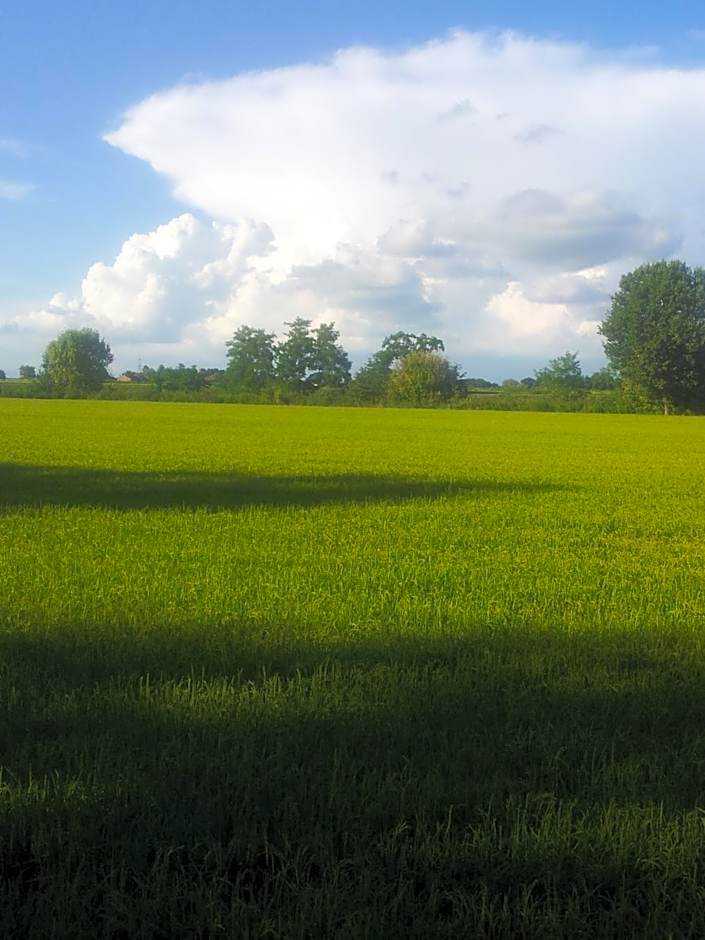 B&B Il Pioppo E La Fonte