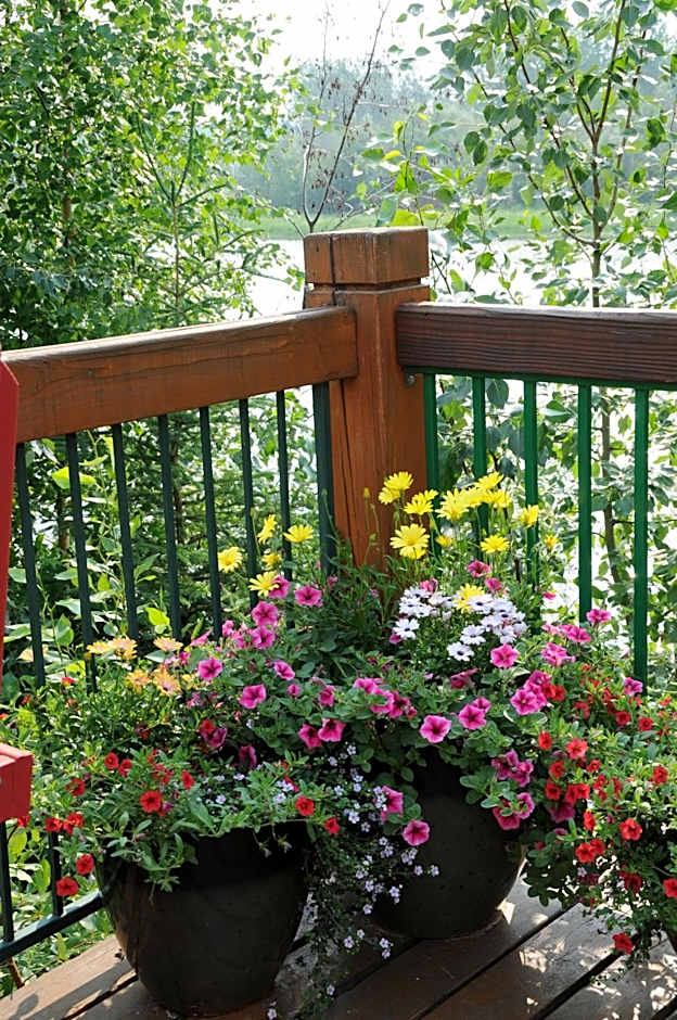 Pike's Waterfront Lodge