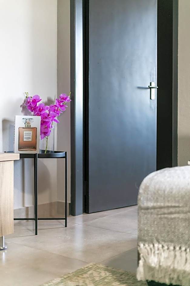 Stylish Stunner in Circa 205