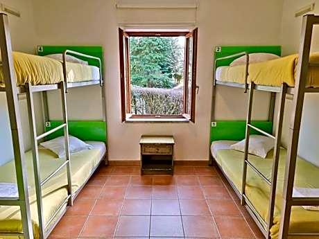 Bunk Bed in Male Dormitory Room