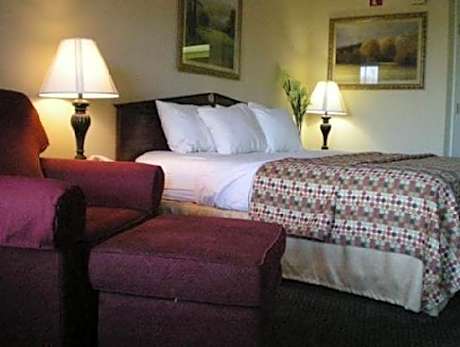 1 Bedroom Suite