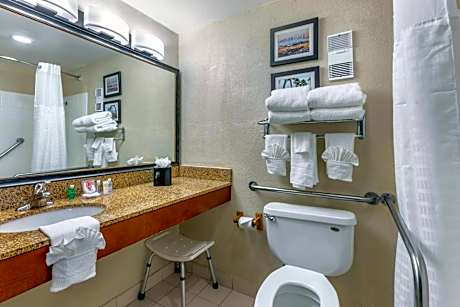 Standard Room, 1 King Bed, Accessible Tub, Non Smoking