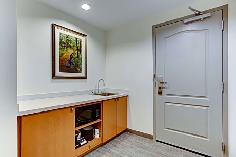 2 Qns Microwv/Fridge/Wetbar Studio Suite Ns