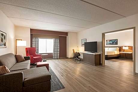 One-Bedroom King Suite